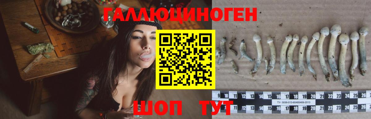 Галлюциногенные грибы Magic Shrooms Зеленогорск